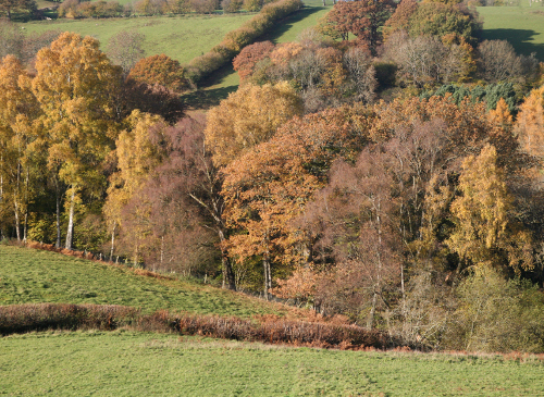 Countryside View